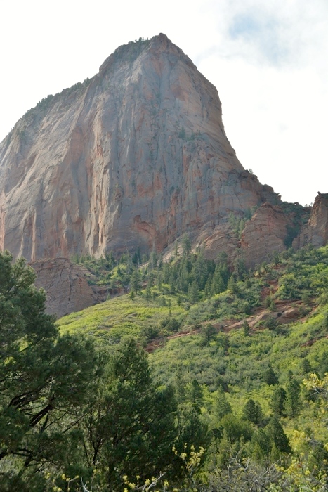 Along the Middle Fork of the Taylor Creek Trail